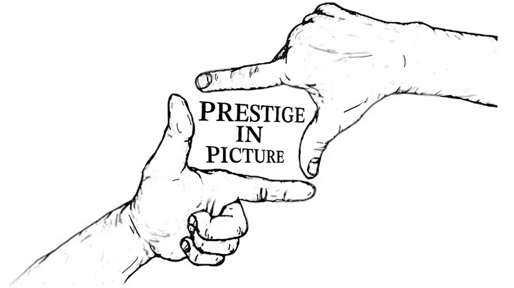 Prestige In Picture by Landon Stark eBook DOWNLOAD-Alternate Worlds Magic