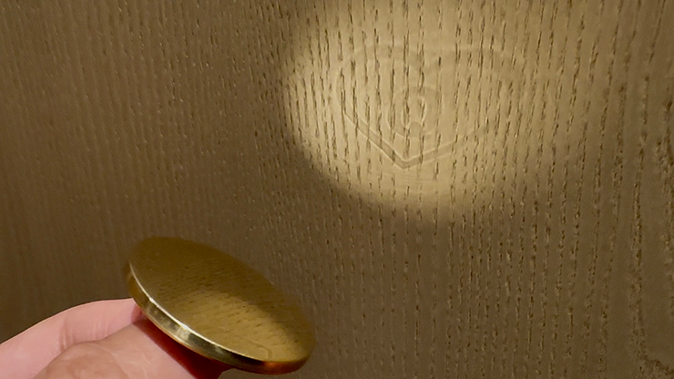 Bronze Enigma by Jackie Zhao and JT Magic-Alternate Worlds Magic