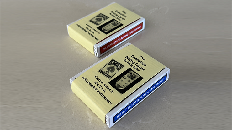 Executive Rising Cards (Blue)-Alternate Worlds Magic