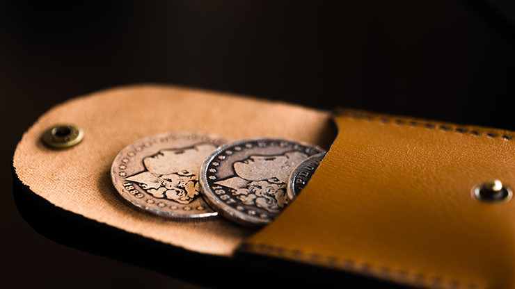 Pocket Portal (Dollar) by Samuel King