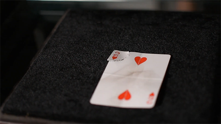 Phoenix – Torn & Restorn (Red) Card Trick-Alternate Worlds Magic