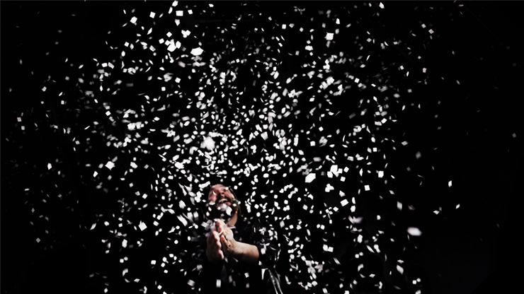 Professional Snowstorm Pack (12 pk) by Murphy's Magic-Alternate Worlds Magic