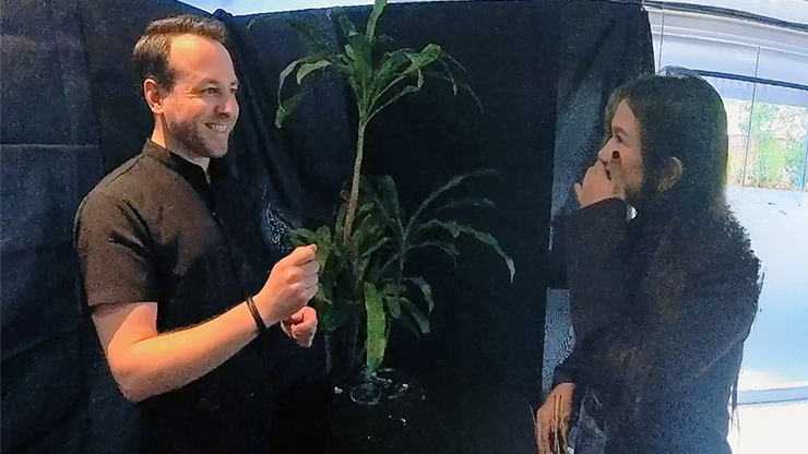 Echo Book Test by Vincent Hedan (Hypnosis)