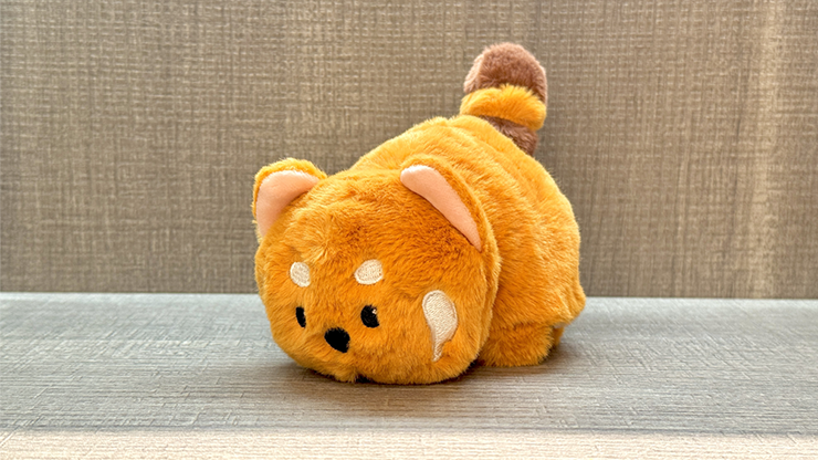 Morphing Plush (Panda to Raccoon) by Jackie Zhao and JT Magic-Alternate Worlds Magic