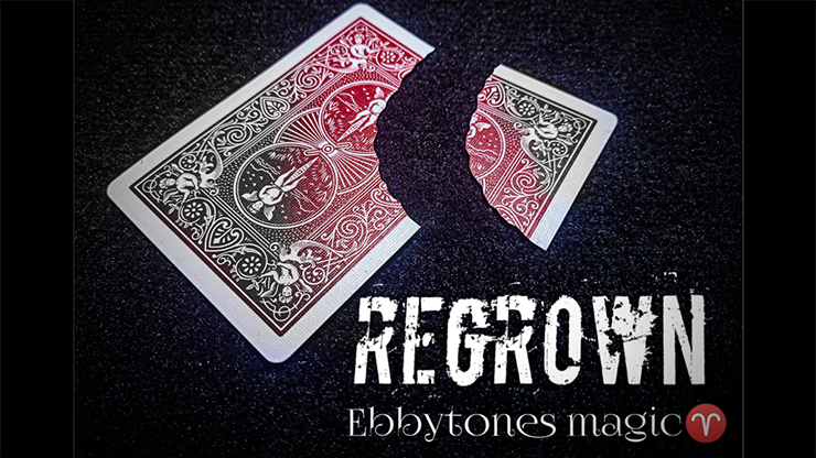 Regrown by Ebbytones video DOWNLOAD