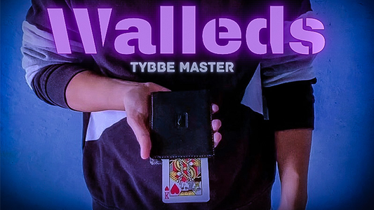 Walleds by Tybbe Master video DOWNLOAD