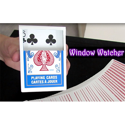 Window Watcher by Aaron Plener - Video DOWNLOAD